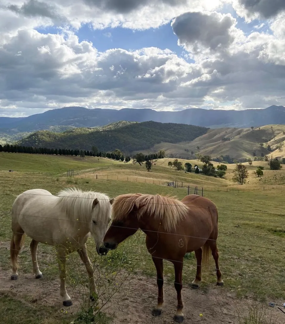 Horse Riding Trails in the Blue Mountains