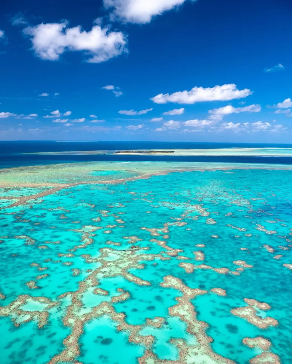 Turritoire | Which Reef Has The Clearest Water In Queensland? How Weather and The Seasons Affect Your View