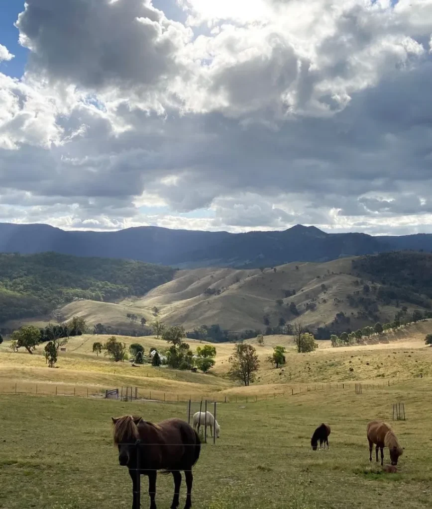 Megalong Valley Heritage Trail