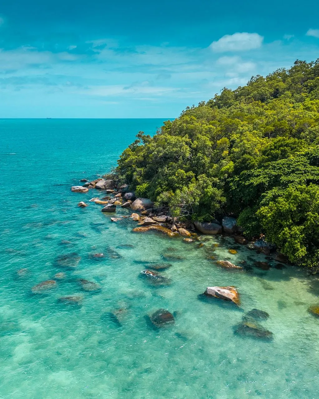 Turritoire | Which Reef Has The Clearest Water In Queensland? The Inshore Conundrum, Easy Access vs Lower Visibility