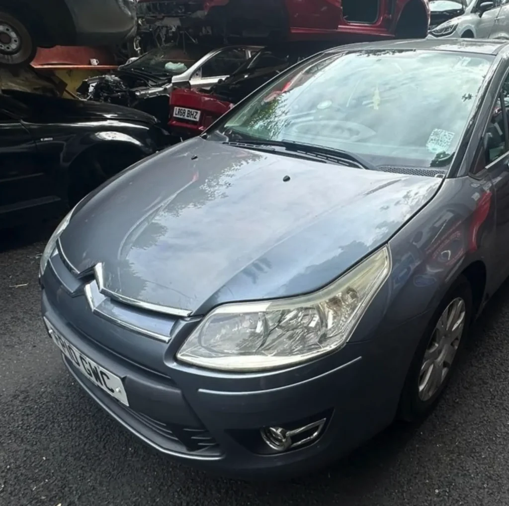 When to Cancel Rego vs When to Transfer
