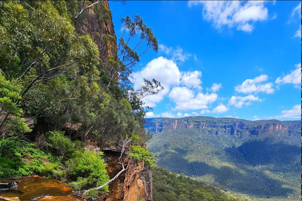 Discover the Mystical Blue Haze of the Blue Mountains in Australia