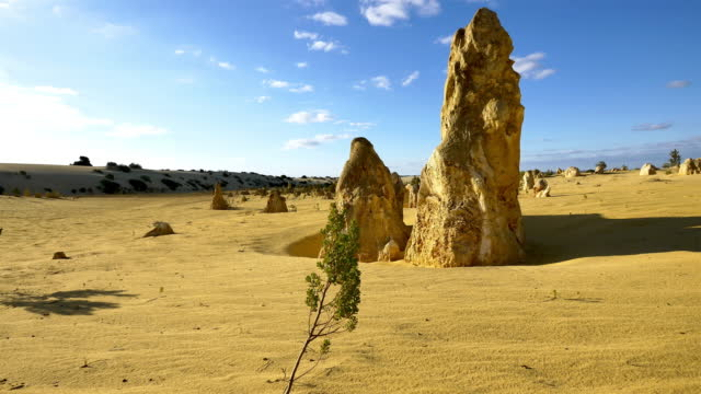 Explore the Pinnacles of Western Australia: A Guide to Nambung National Park